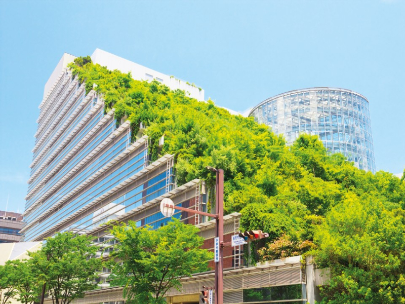 What is Green Roofs in Architecture?